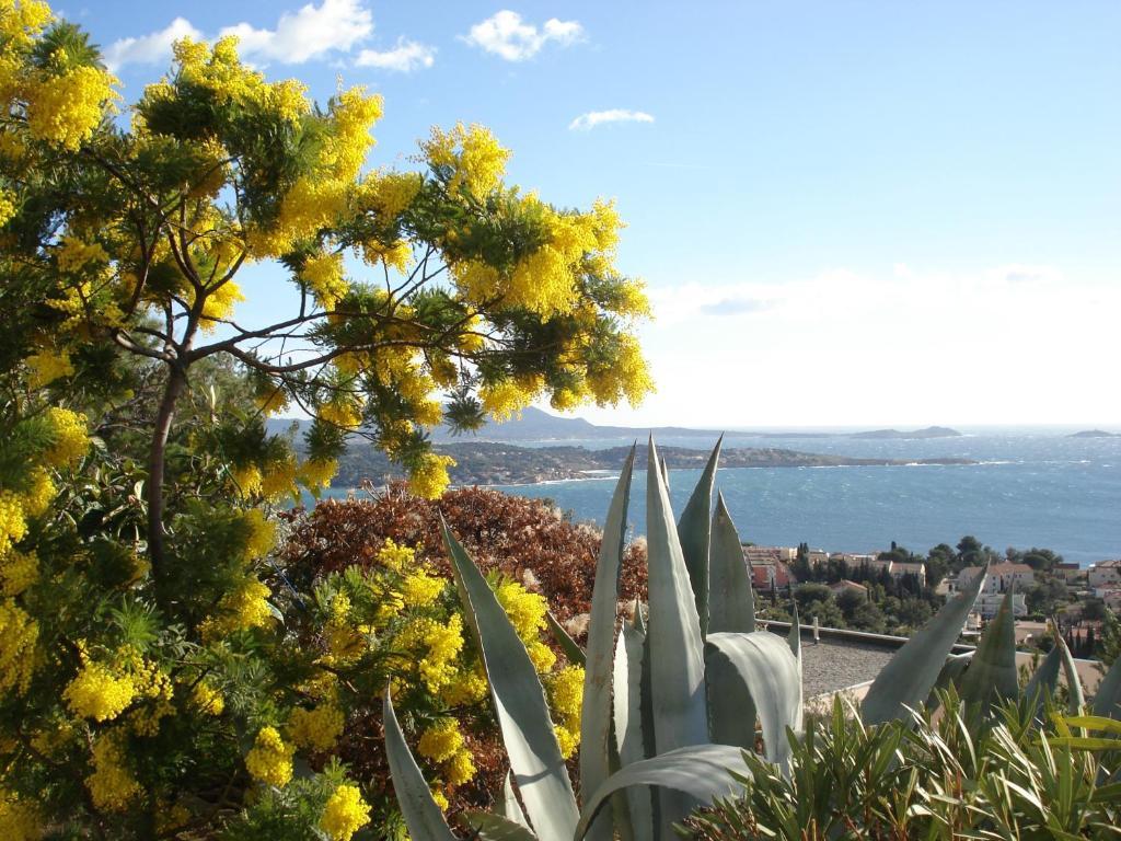 Residence Le Bosquet Bandol Exterior photo